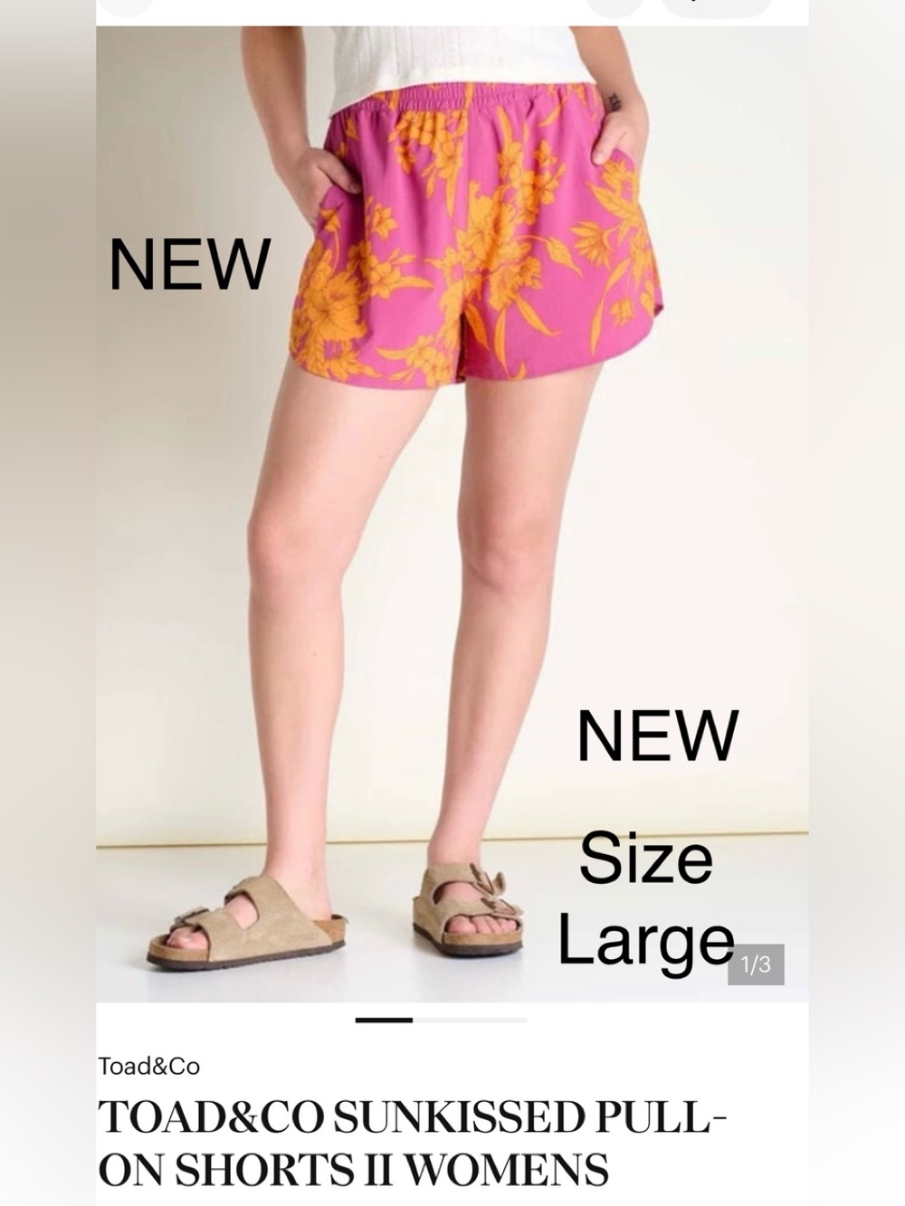 Toad&Co Purple & Orange Floral Shorts